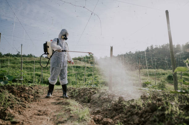 Best Pest Prevention Services  in Willamina, OR