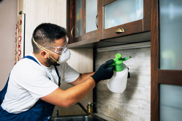 Best Affordable Pest Control Services  in Willamina, OR