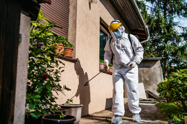 Best Pest Control Near Me in Willamina, OR