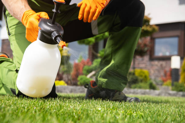 Best Pest Inspection Near Me  in Willamina, OR