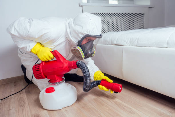 Best Pest Control Near Me  in Willamina, OR