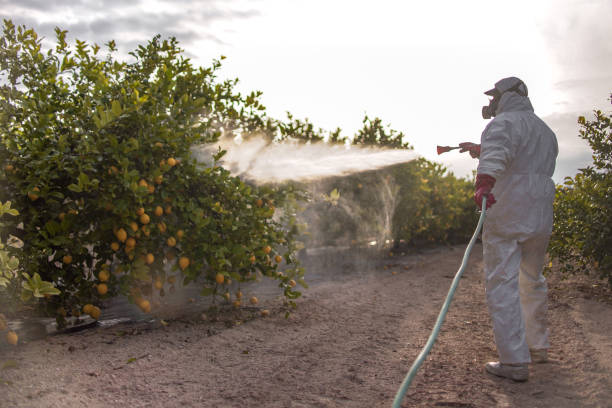 Best Cockroach Control Services  in Willamina, OR