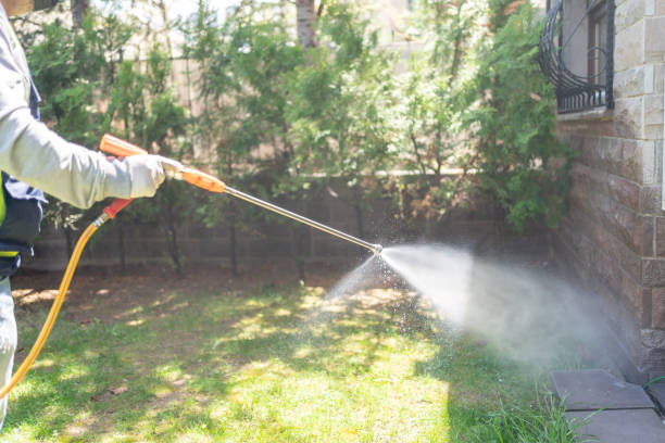 Best Mosquito Control Services  in Willamina, OR