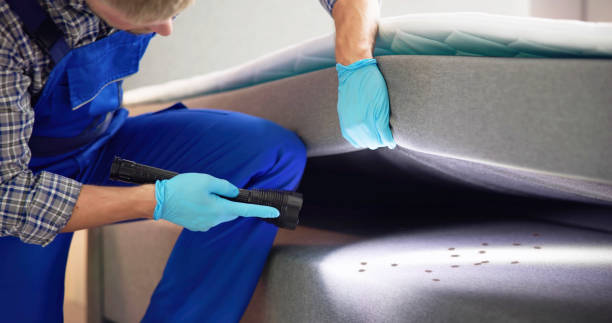 Best Commercial Pest Control Services  in Willamina, OR