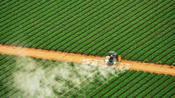 Professional Pest Control in Willamina, OR