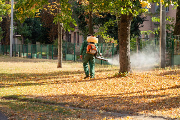Best Termite Control Services  in Willamina, OR