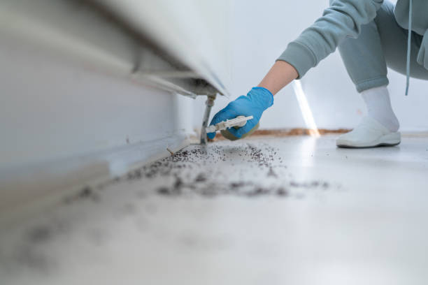 Best Pest Control Near Me  in Willamina, OR